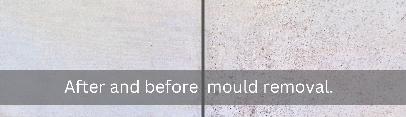 canvas mould removal